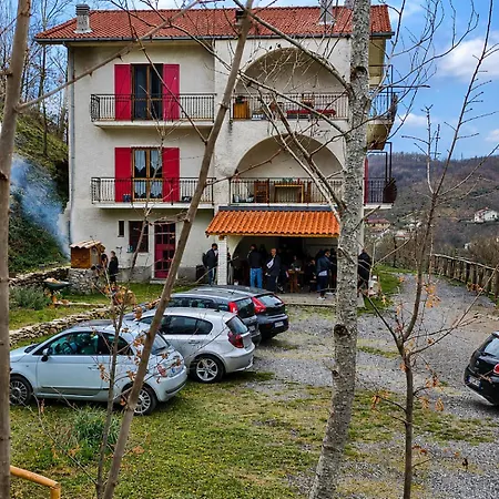Nyaraló 