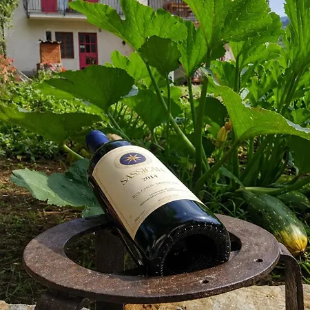 Nyaraló 